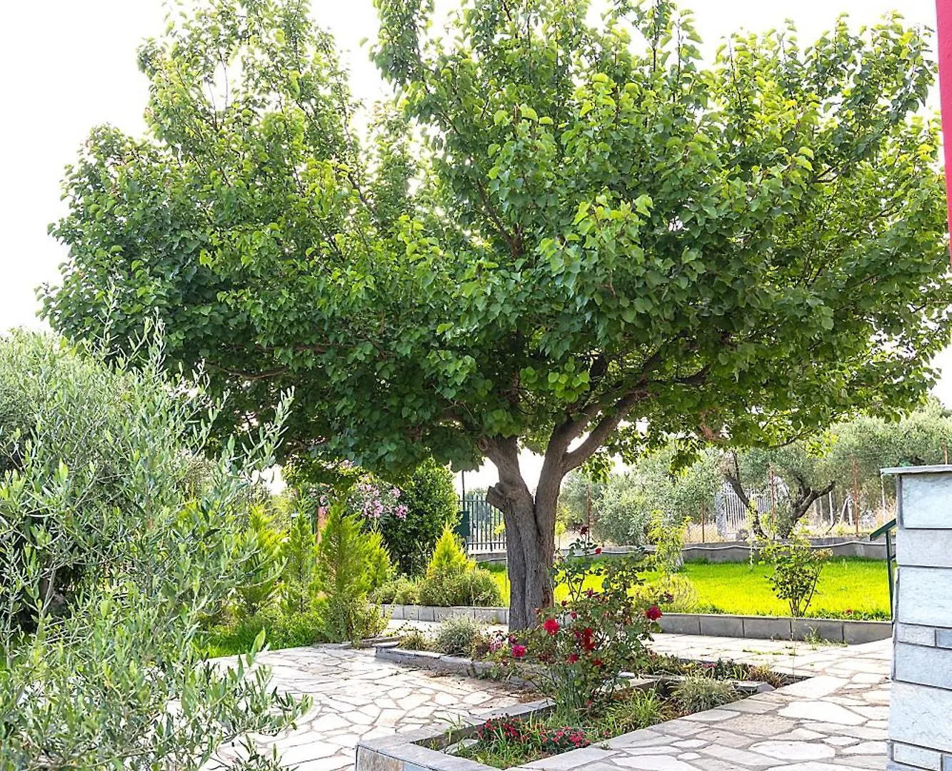 Thalori House Villa Vergia Grekland